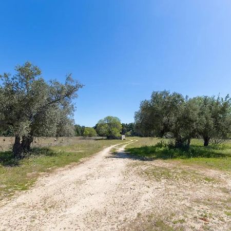 Finca El Palomar De La Vina Madrid Ngoại thất bức ảnh