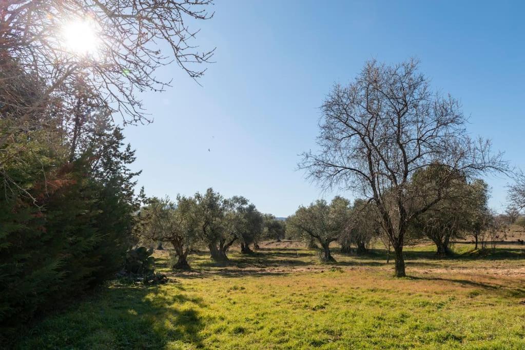 Finca El Palomar De La Vina Madrid Ngoại thất bức ảnh