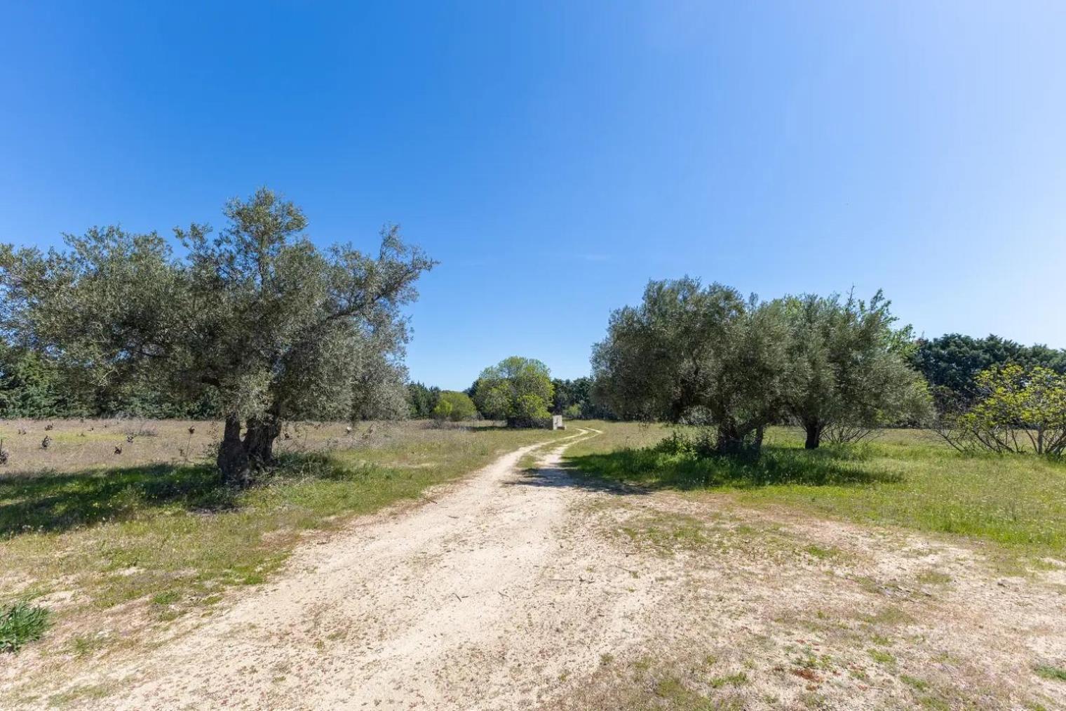 Finca El Palomar De La Vina Madrid Ngoại thất bức ảnh
